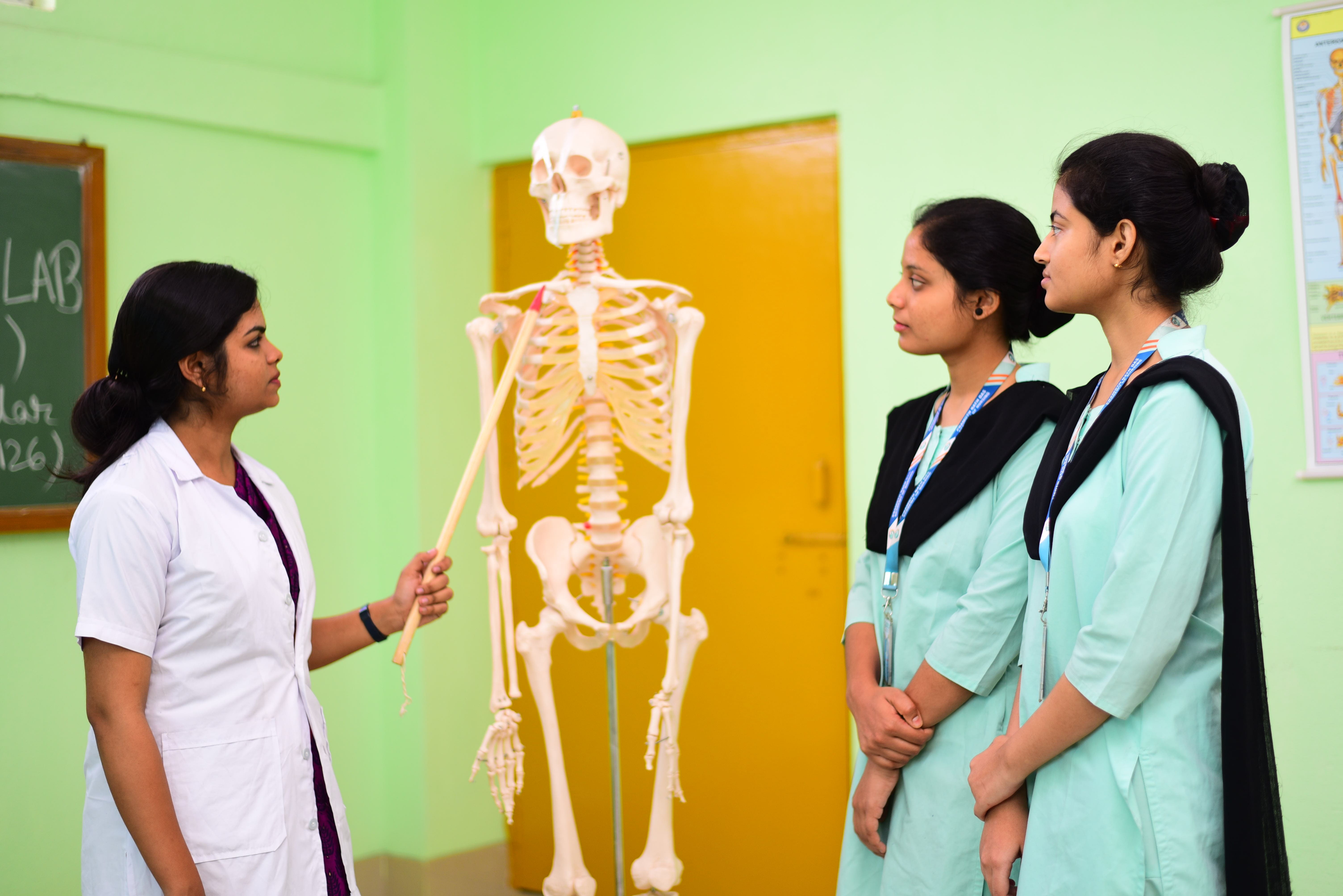 Anatomy & Physiology Lab